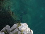 DSCN0765.jpg
