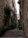 DSCN0774.jpg