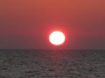 DSCN0685.jpg