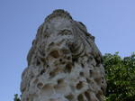 DSCN0598.jpg