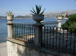 DSCN0601.jpg