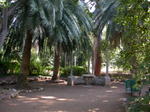 DSCN0603.jpg