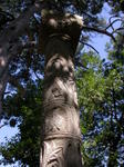 DSCN0612.jpg