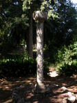 DSCN0614.jpg