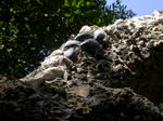 DSCN0616.jpg