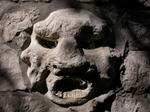 DSCN0618.jpg