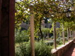 DSCN0672.jpg