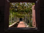 DSCN0673.jpg