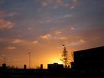 DSCN0959.jpg