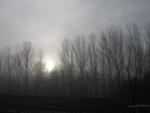 DSCN0281.jpg