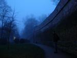 DSCN0308.jpg