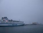 DSCN0290.jpg