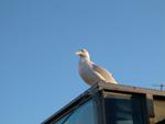 DSCN0449.jpg