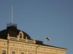 helsinki5_05.jpg