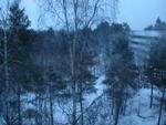 DSCN0389.jpg