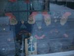 DSCN0767.jpg