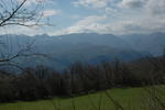 DSC_0006.jpg