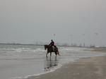 DSCN6118.jpg