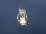 DSCN6521.jpg