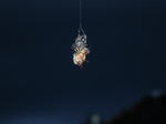 DSCN6519.jpg
