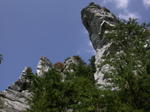 DSCN6556.jpg