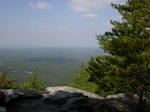 DSCN6559.jpg