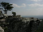 DSCN6562.jpg