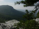DSCN6564.jpg