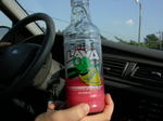 DSCN6565.jpg