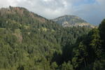 DSC_0357.jpg