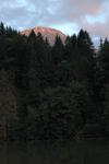 DSC_0366.jpg