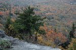 DSC_0496.jpg