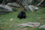 DSC_0504.jpg