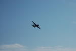 DSC_0514.jpg