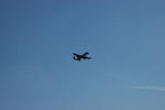 DSC_0519.jpg