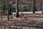 DSC_0607.jpg