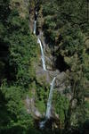gallery_219.jpg