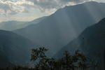 gallery_222.jpg