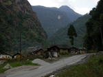 gallery_225.jpg