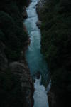 gallery_230.jpg