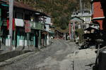 gallery_240.jpg