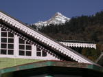 gallery_232.jpg