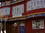 gallery_233.jpg