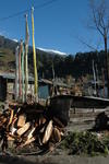 gallery_234.jpg