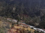 gallery_237.jpg