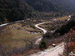 gallery_239.jpg