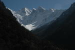 gallery_248.jpg