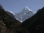 gallery_241.jpg