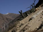 gallery_245.jpg