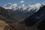 gallery_260.jpg